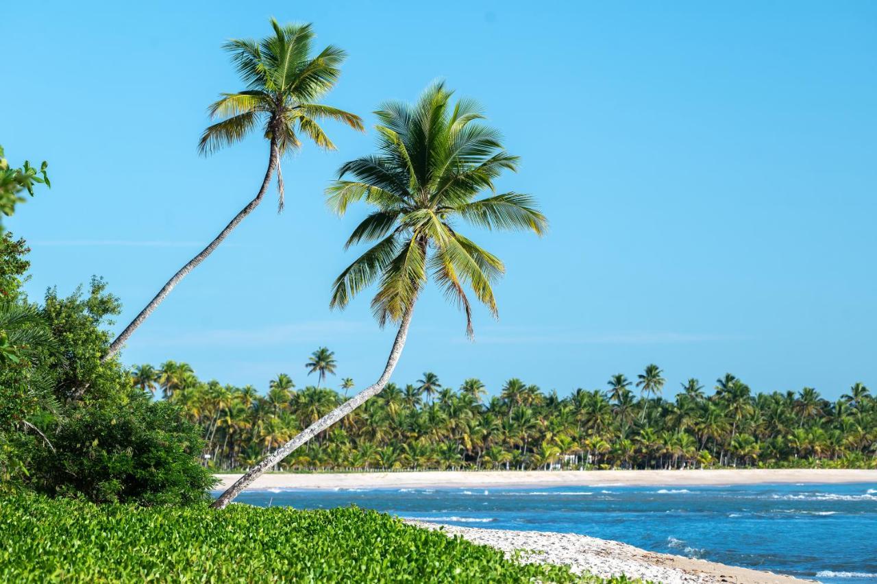 Colibri Beach Villas Velha Boipeba Kültér fotó